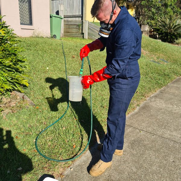 residential pest control services Brisbane