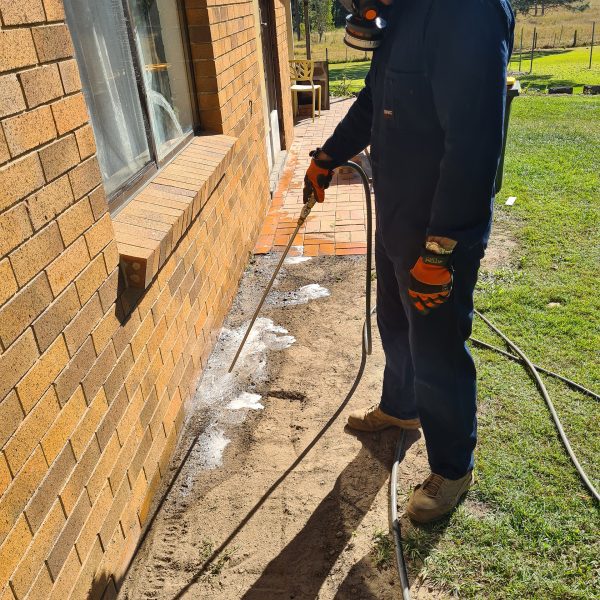 termite and pest control north brisbane