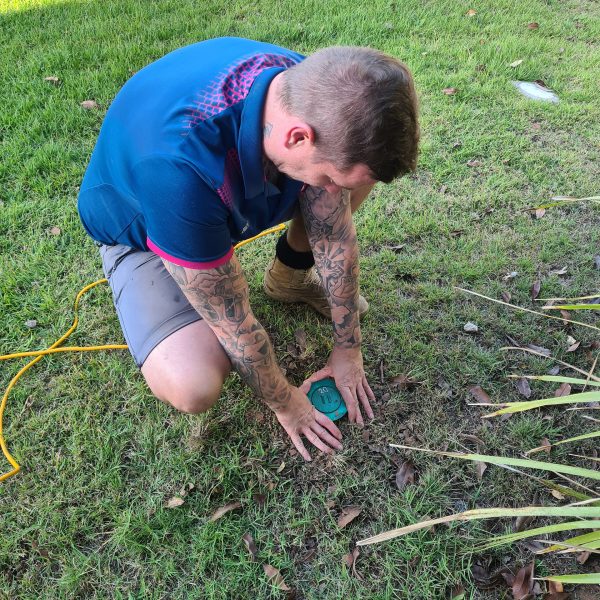 Ben at Blake's Pest Control North Brisbane